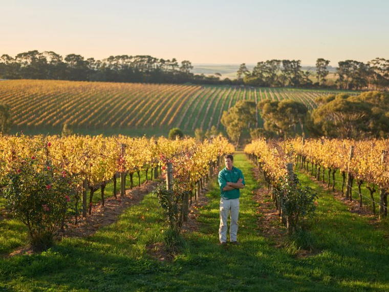 Wine by Farr, Geelong, Australia