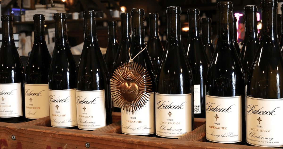 Babcock Winery & Vineyards winery in Lompoc, United States