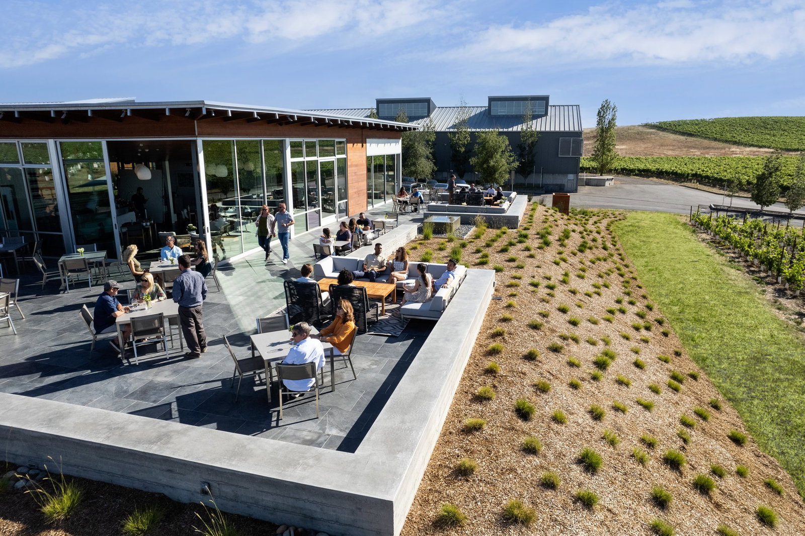 Cuvaison Estate Wines