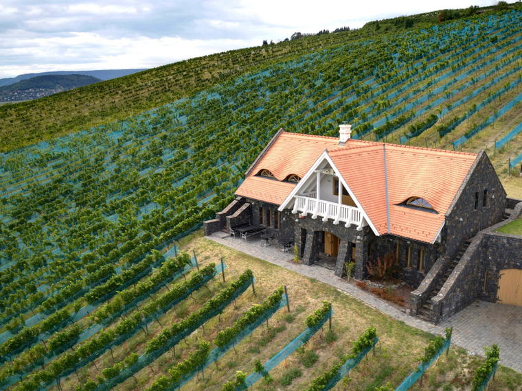 Villa Sandahl, Badacsonytomaj, Hungary