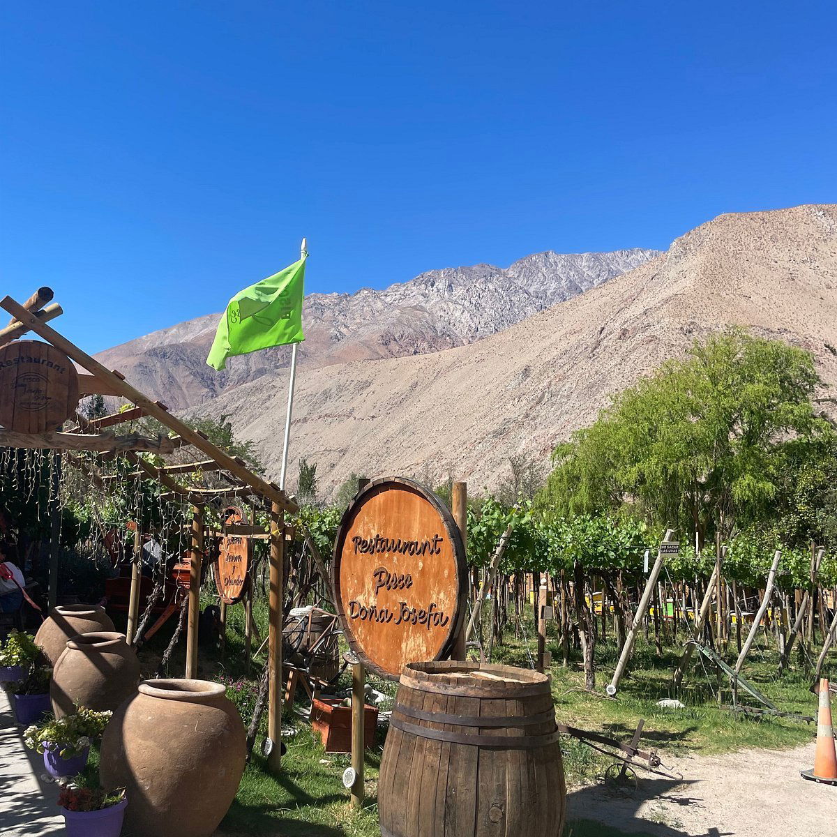 Doña Josefa de Elqui (Pisco) winery in Vicuña, Chile