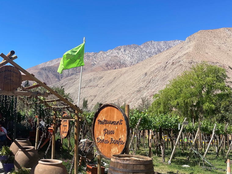 Doña Josefa de Elqui (Pisco), Vicuña, Chile