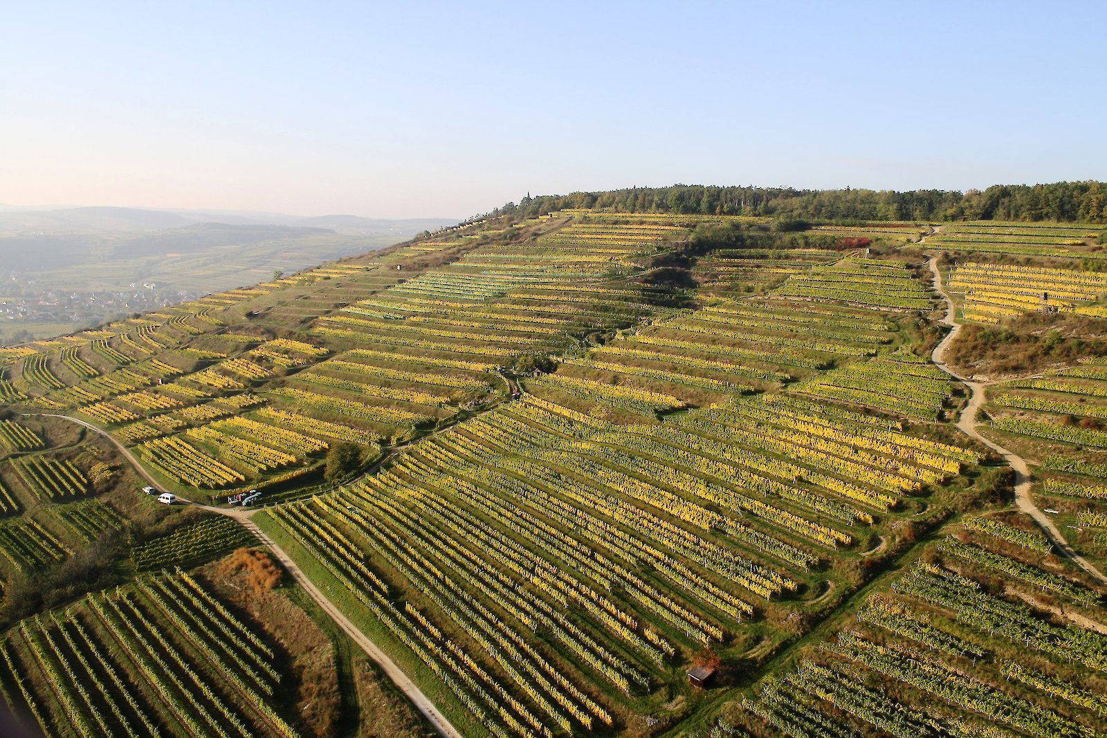 Weingut Bründlmayer winery in Langenlois, Austria