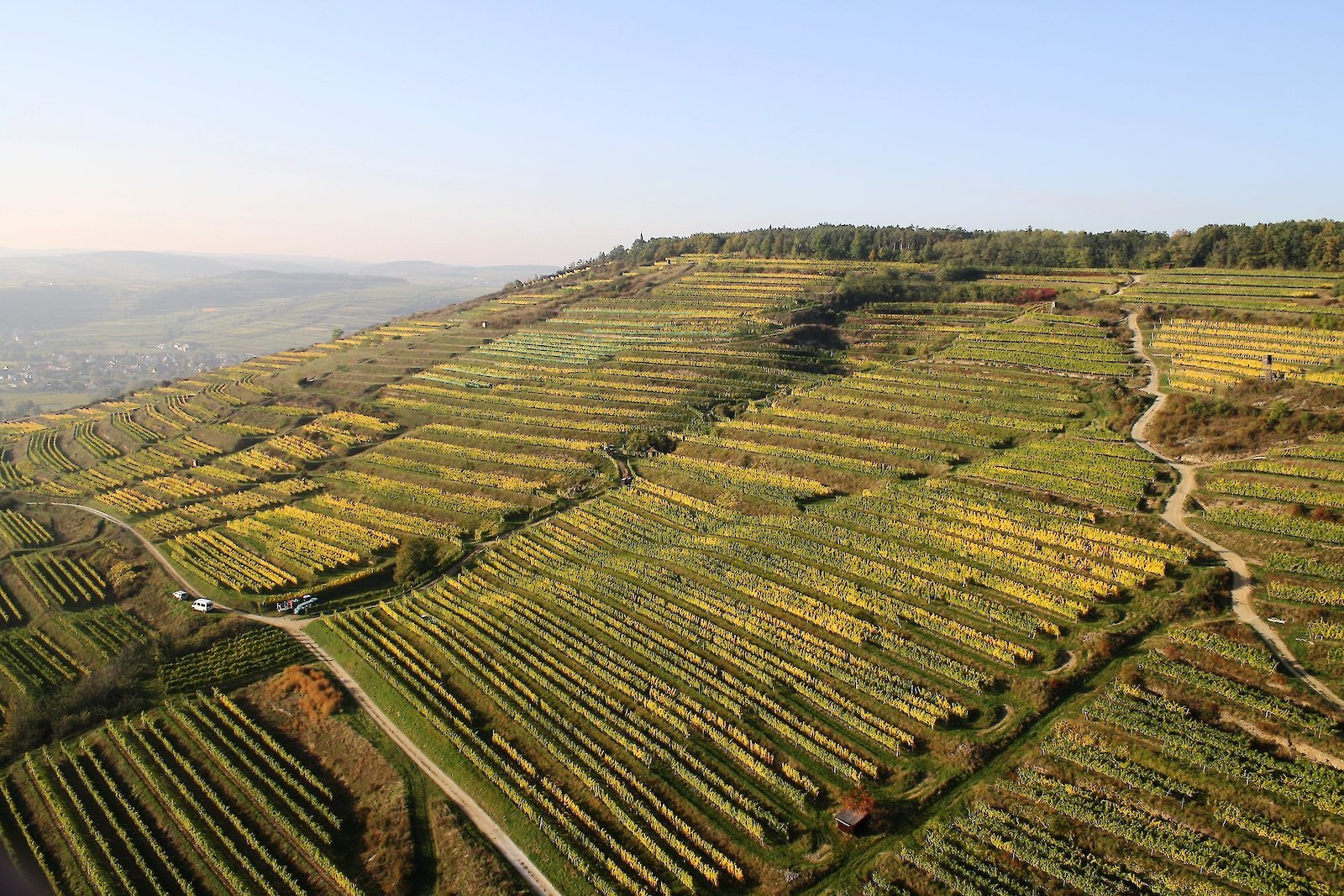 Weingut Bründlmayer winery in Langenlois, Austria