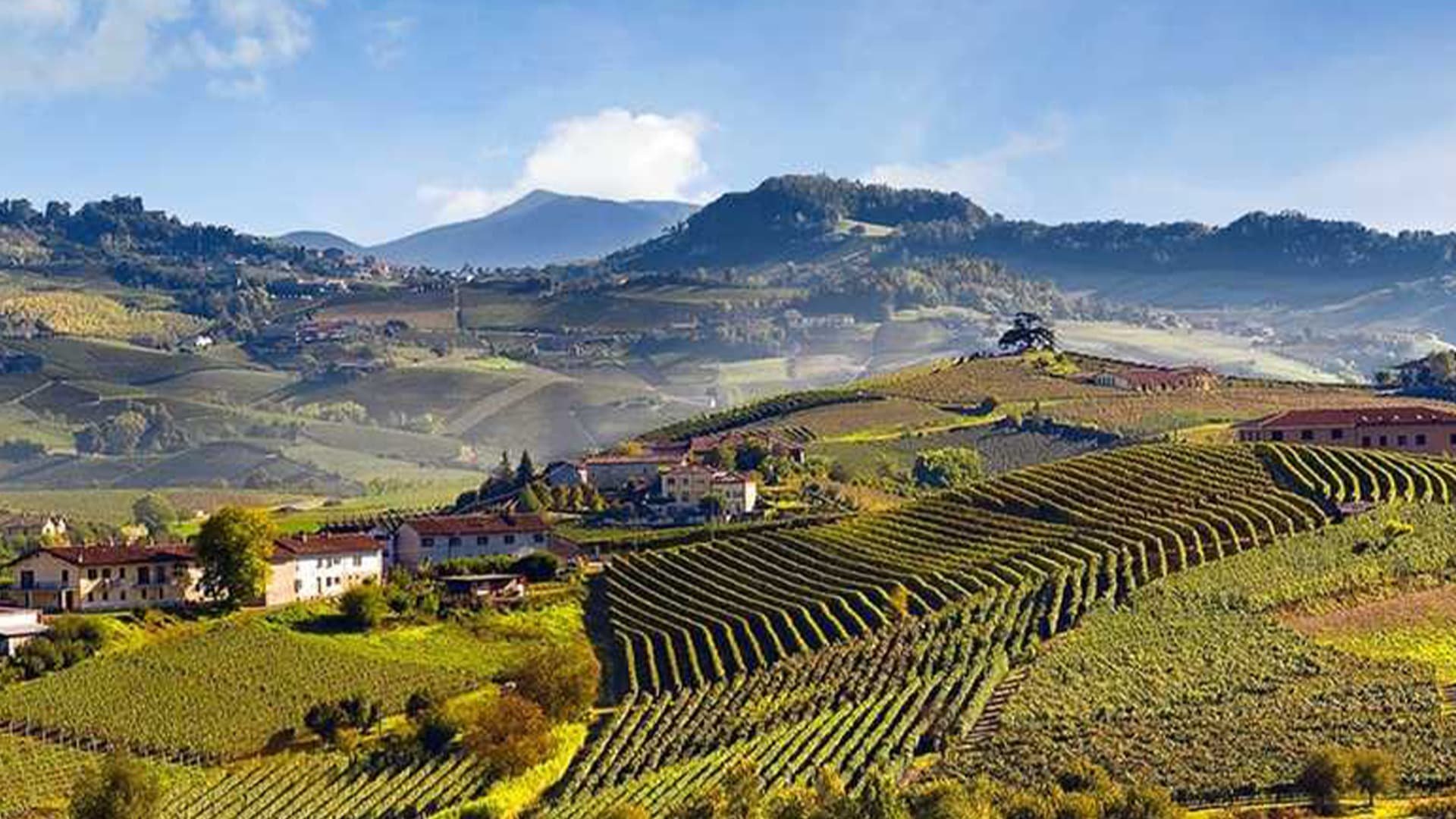 Produttori del Barbaresco winery in Barbaresco, Italy