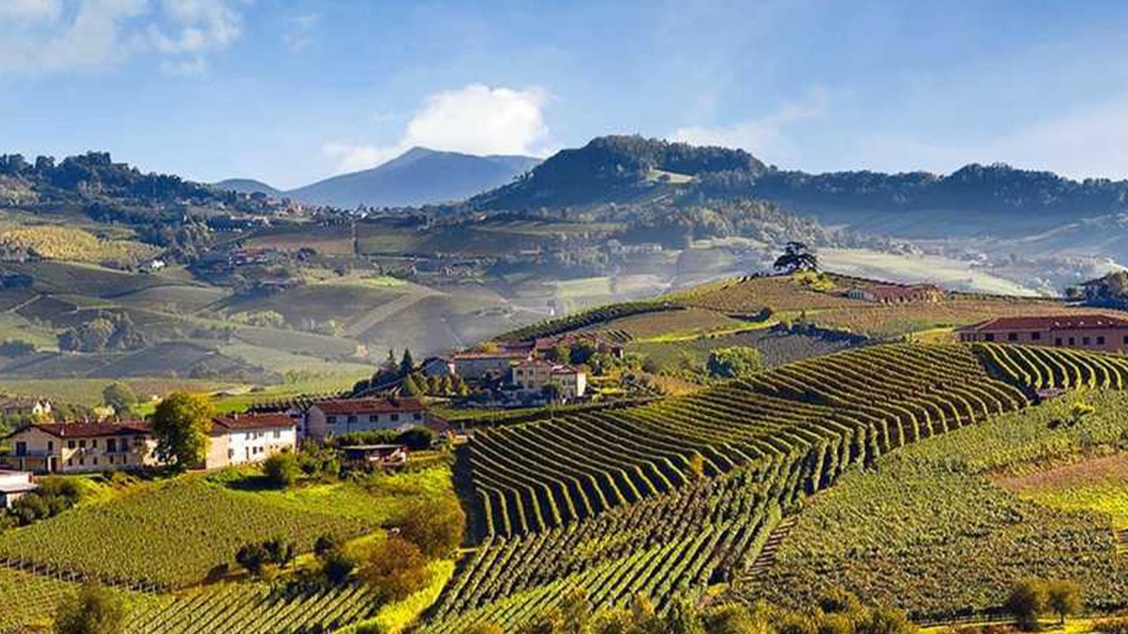 Produttori del Barbaresco