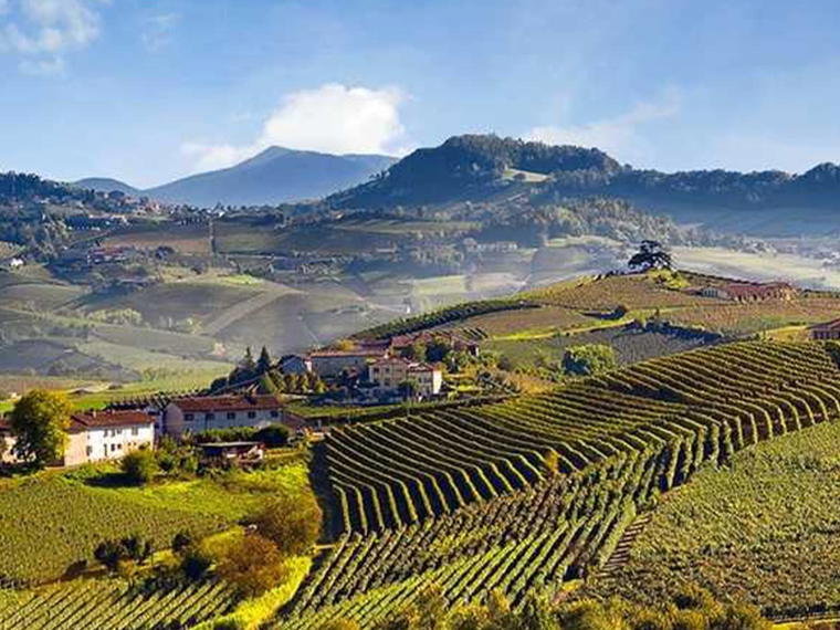 Produttori del Barbaresco, Barbaresco, Italy