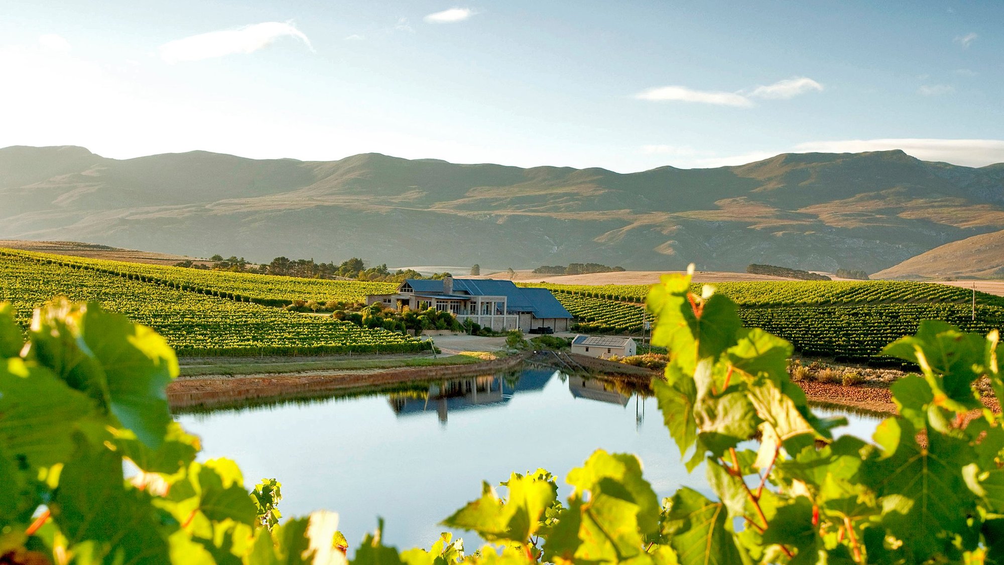 Creation Wines winery in Hermanus, South Africa