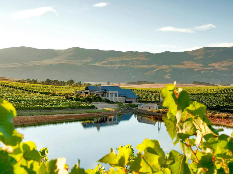 Creation Wines, Hermanus, South Africa