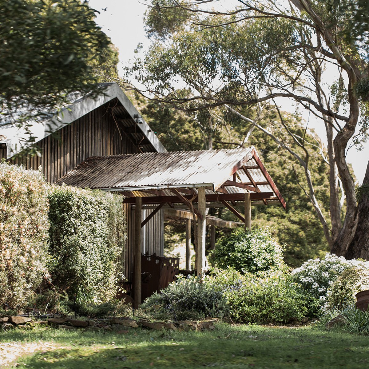 Delamere Vineyards winery in Pipers Brook, Australia