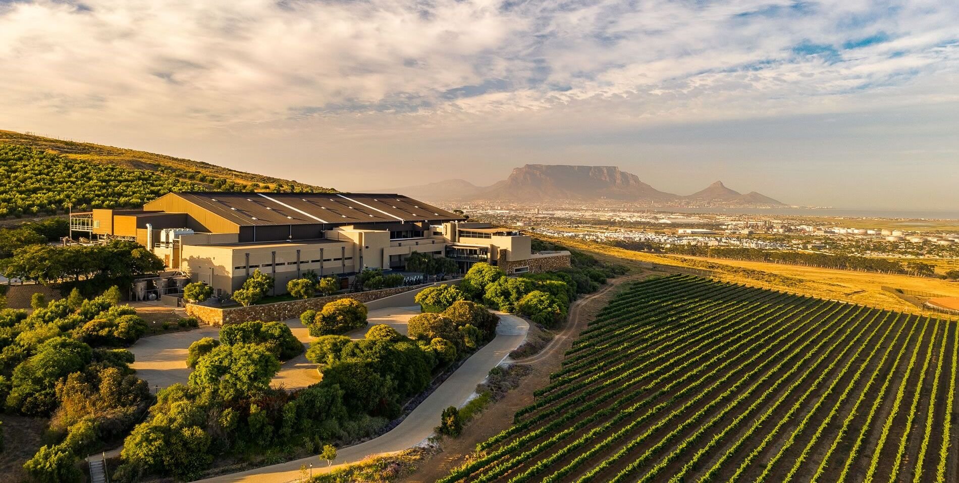 Durbanville Hills winery in Cape Town, South Africa