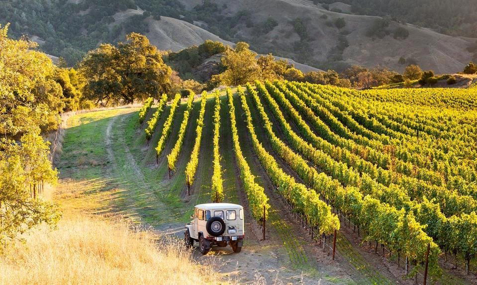 Alexander Valley Vineyards, Geyserville, United States
