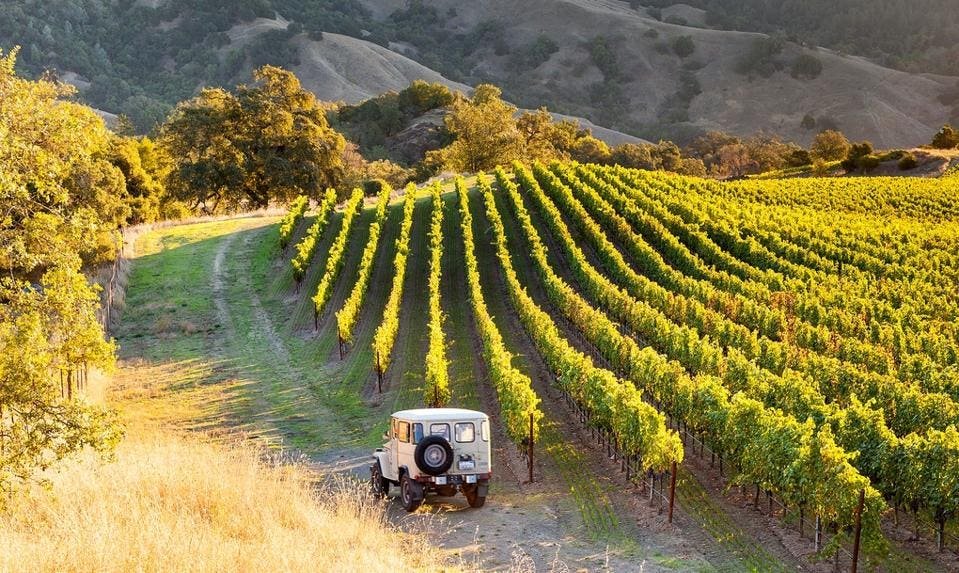 Alexander Valley Vineyards