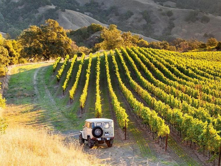 Alexander Valley Vineyards, Geyserville, United States