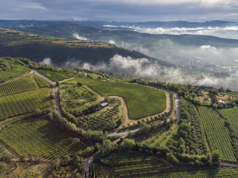 Allegrini, Fumane, Italy