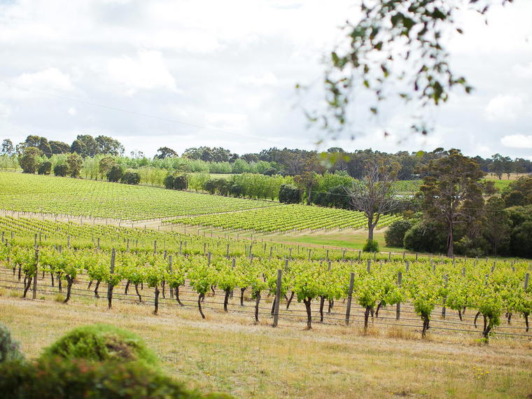 Deep Woods Estate, Margaret River, Australia