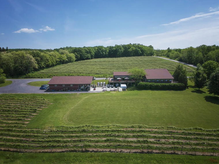 Red Newt Cellars, Hector, United States