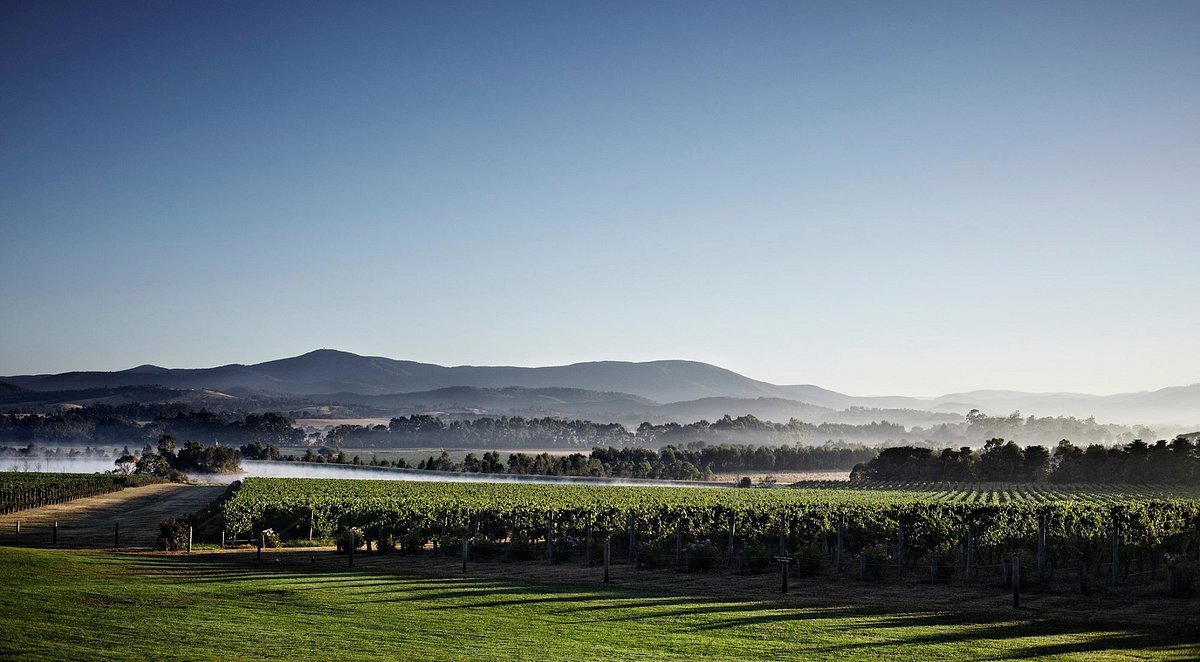 Domaine Chandon - Australia winery in Coldstream