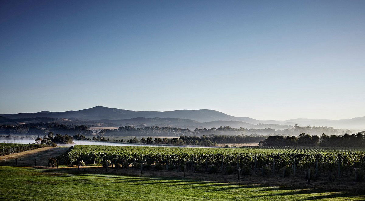 Domaine Chandon - Australia, Winery in Coldstream