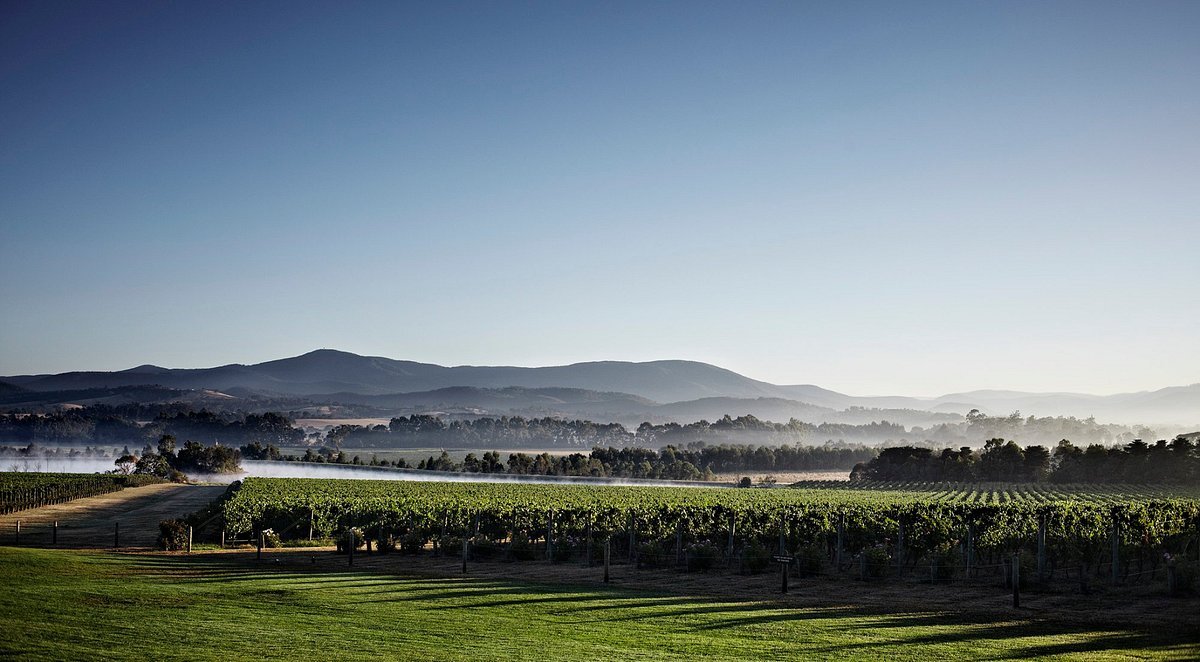 Domaine Chandon - Australia, Coldstream, Australia