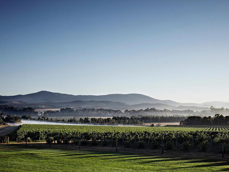 Domaine Chandon - Australia, Coldstream, Australia