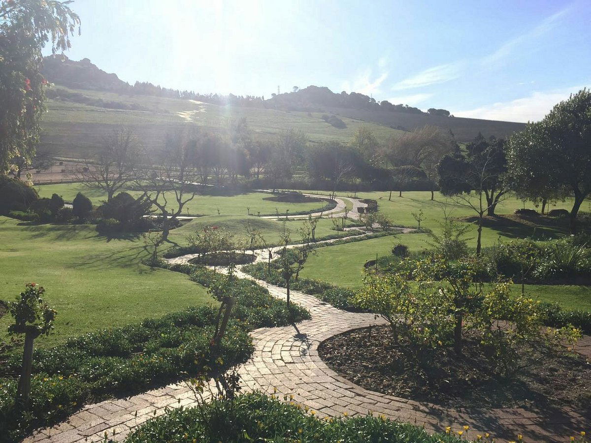Rhebokskloof Wine Estate, Winery in Paarl