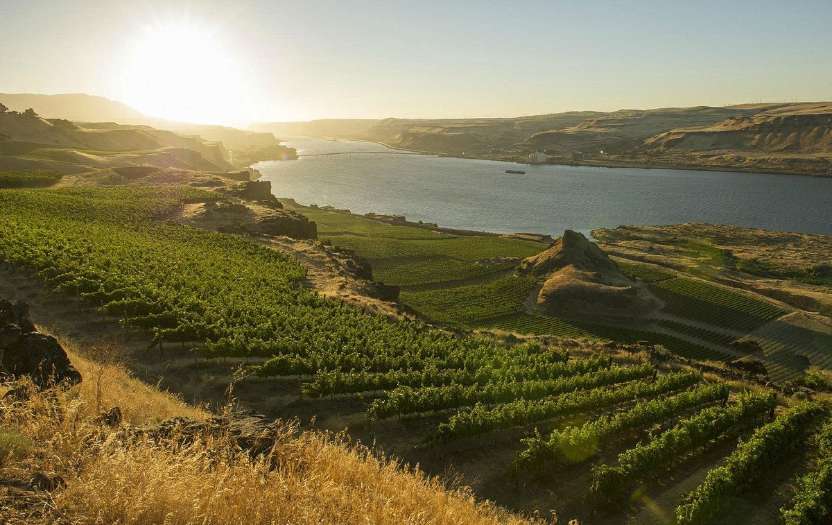 Maryhill Winery, Winery in Goldendale
