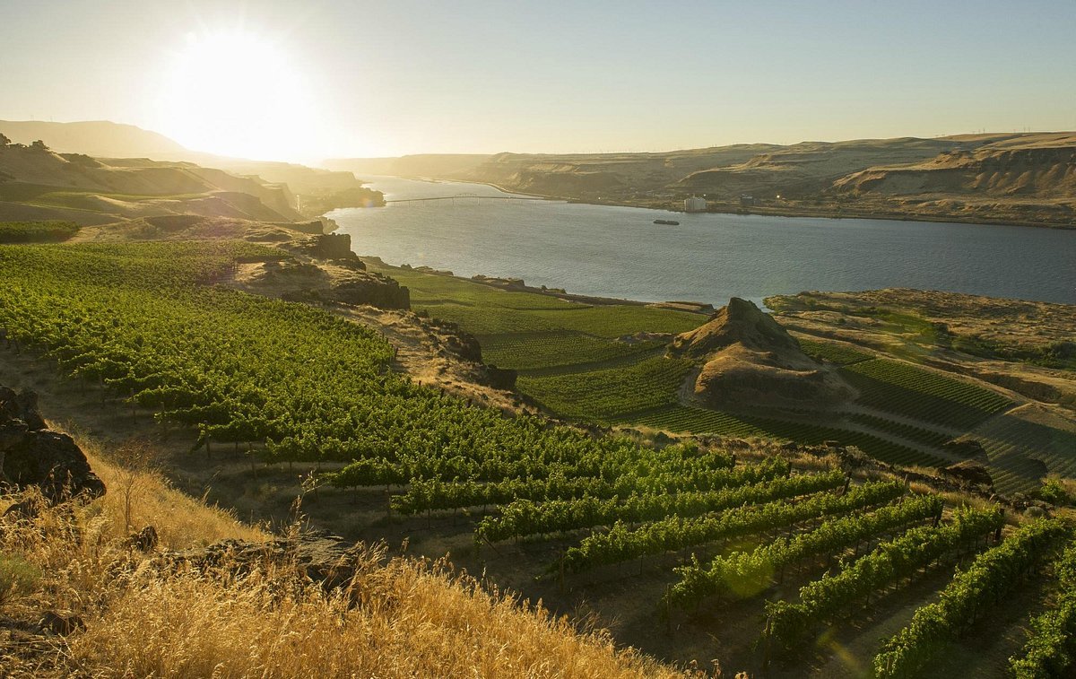 Maryhill Winery
