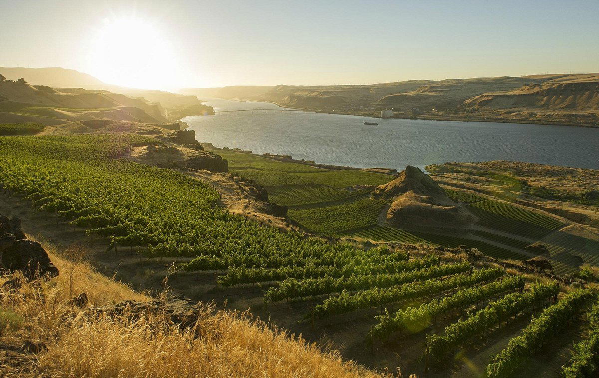 Maryhill Winery winery in Goldendale, United States