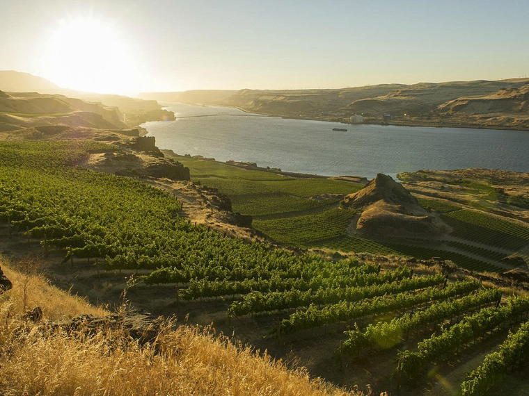 Maryhill Winery, Goldendale, United States