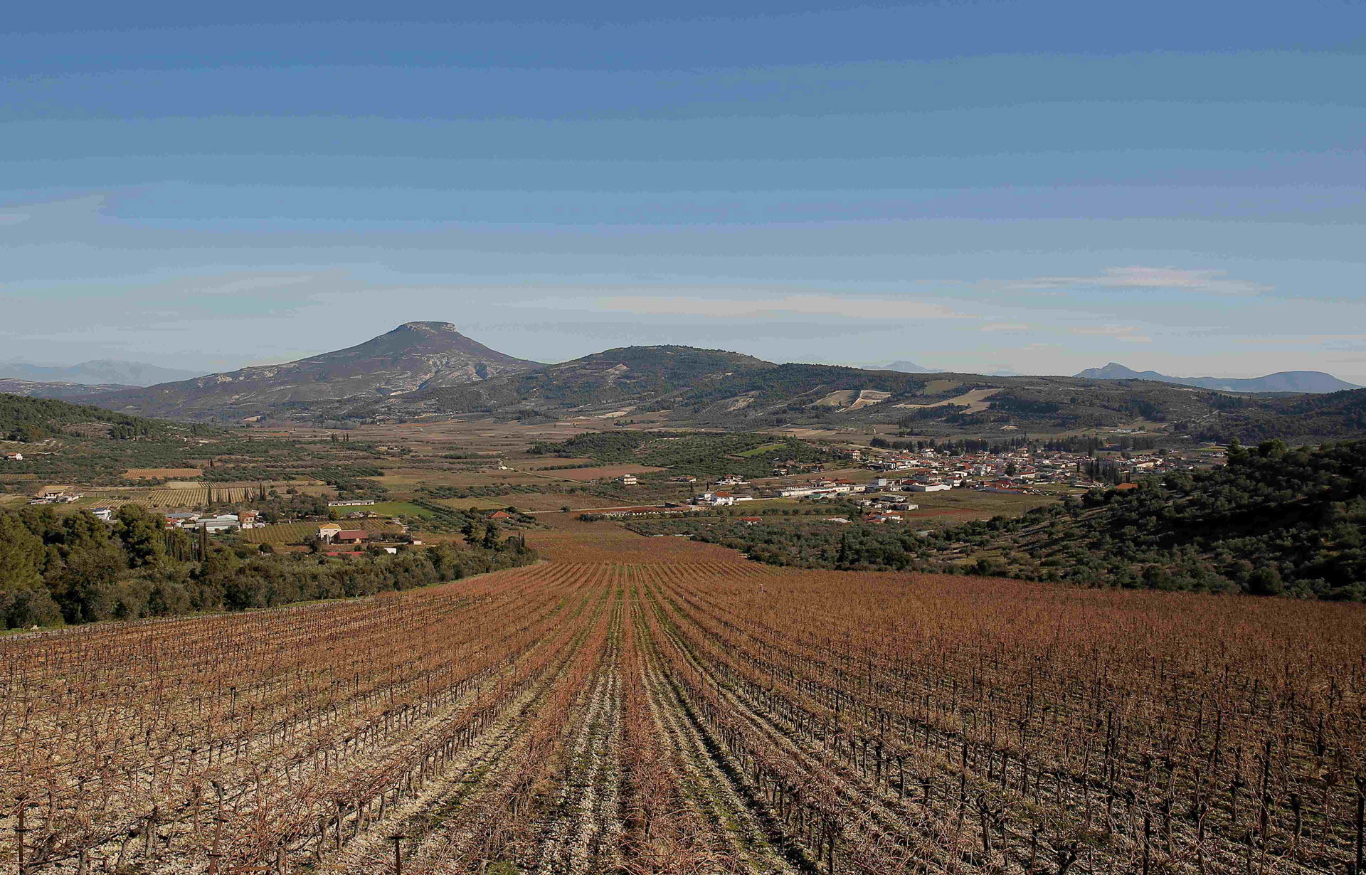 Palivou Estate, Winery in Nemea