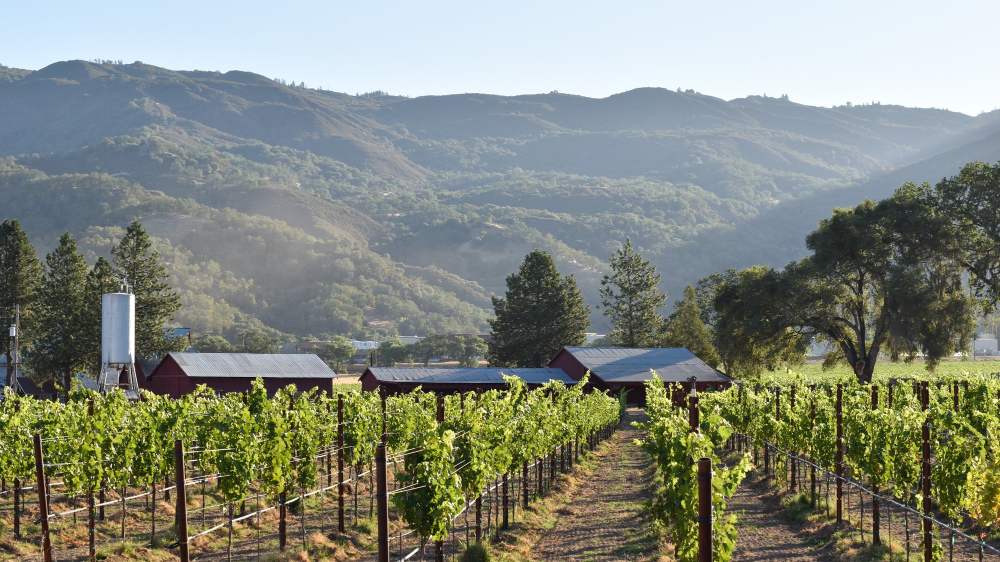 McDowell Valley Vineyards winery in Hopland, United States