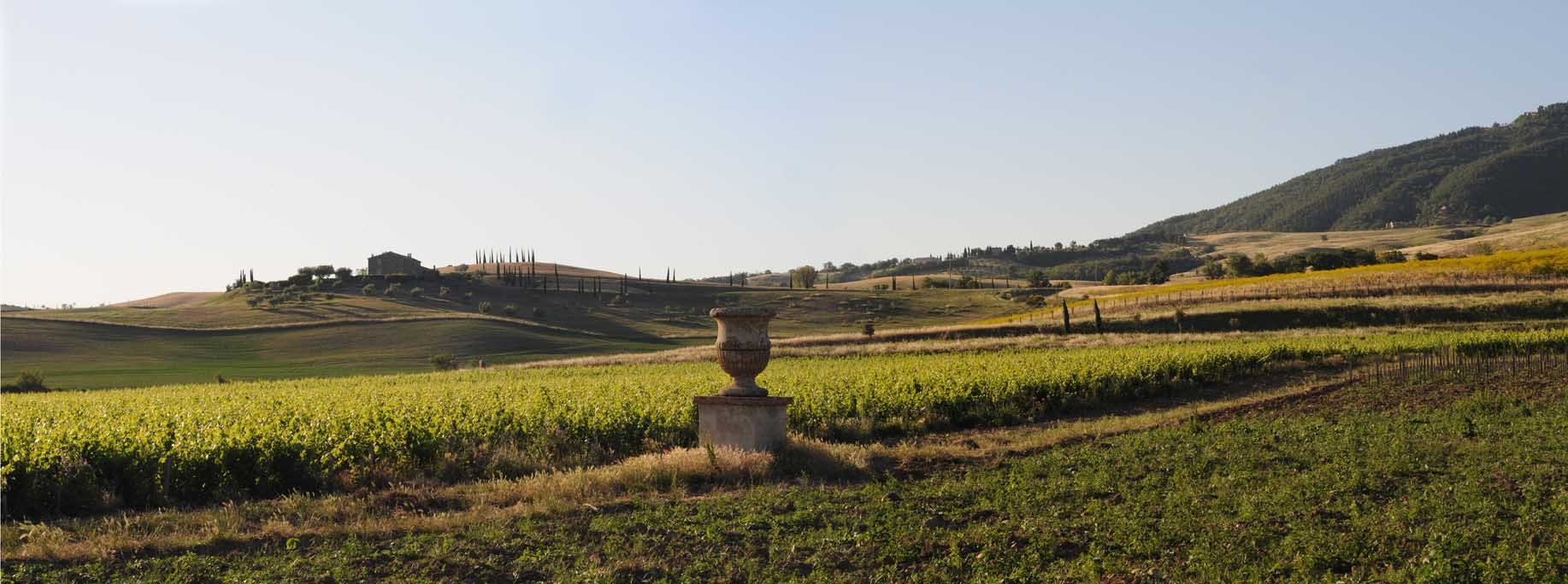 Tenuta di Trinoro