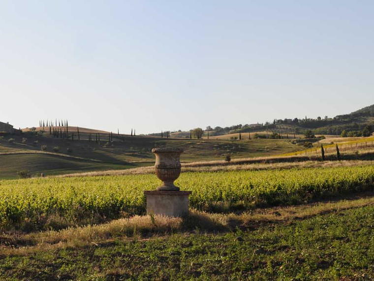Tenuta di Trinoro, Sarteano, Italy
