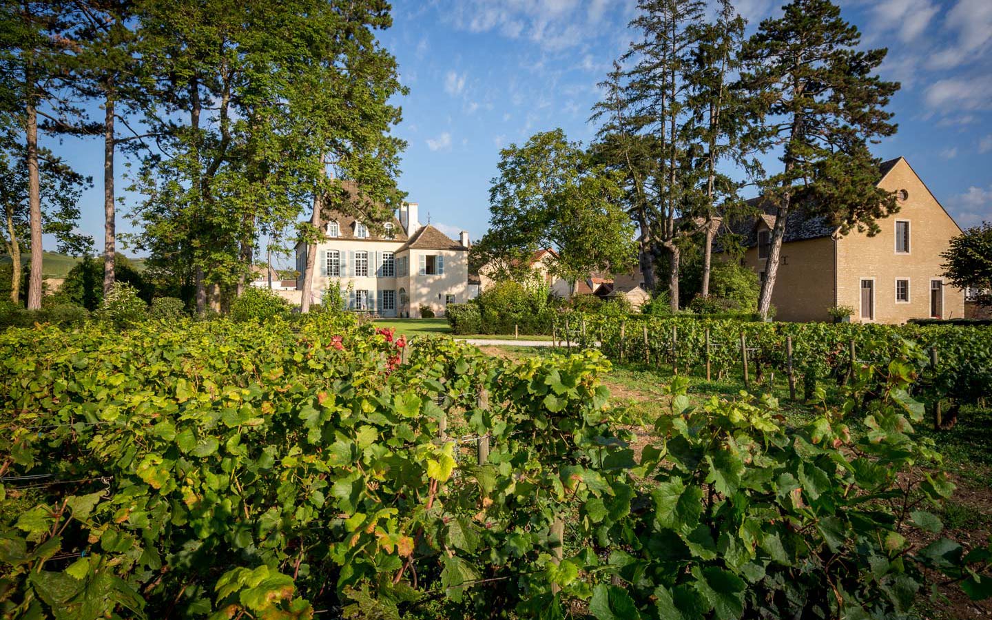 Maison Albert Bichot winery in Beaune