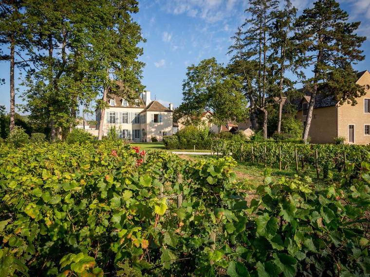 Maison Albert Bichot, Beaune, France