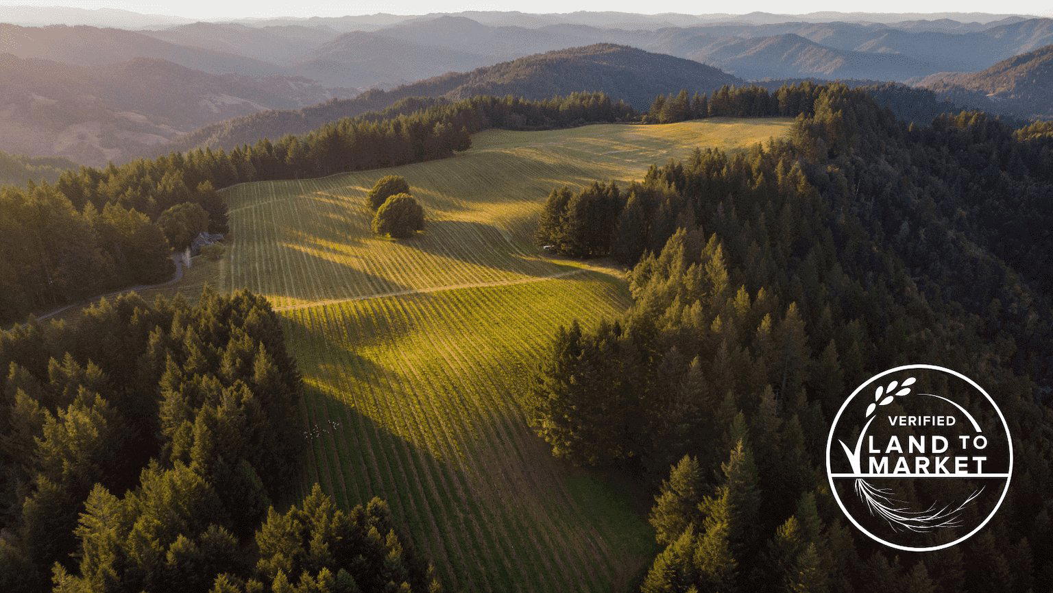 Mariah Vineyards winery in Point Arena, United States