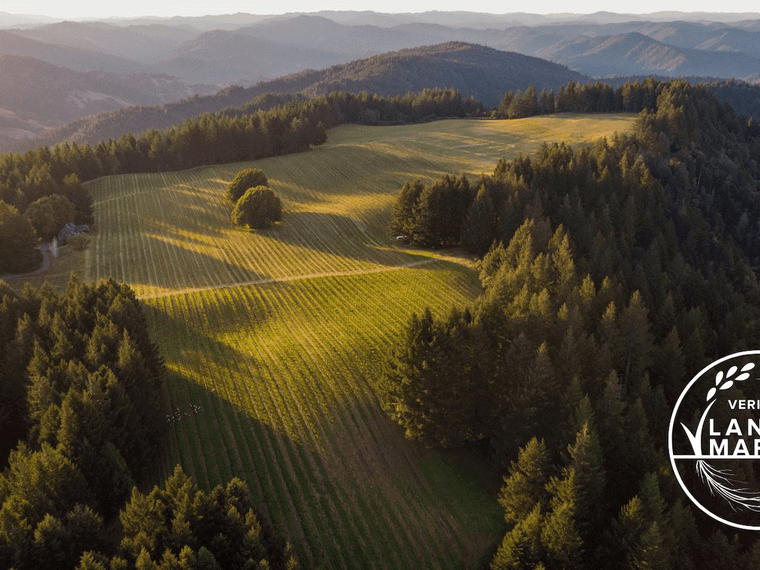 Mariah Vineyards, Point Arena, United States