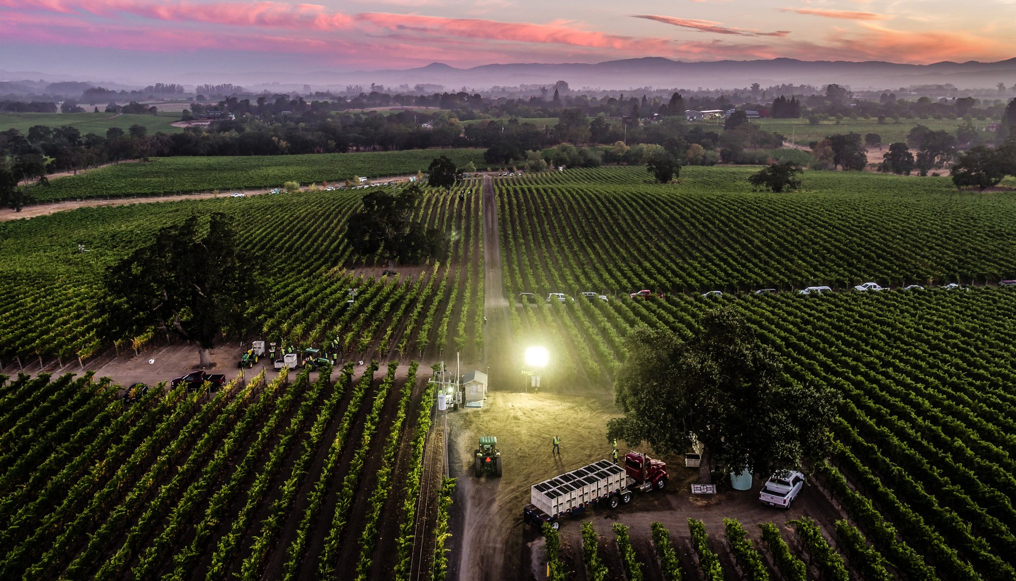 Balletto Vineyards winery in Santa Rosa, United States