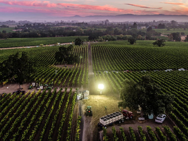 Balletto Vineyards, Santa Rosa, United States