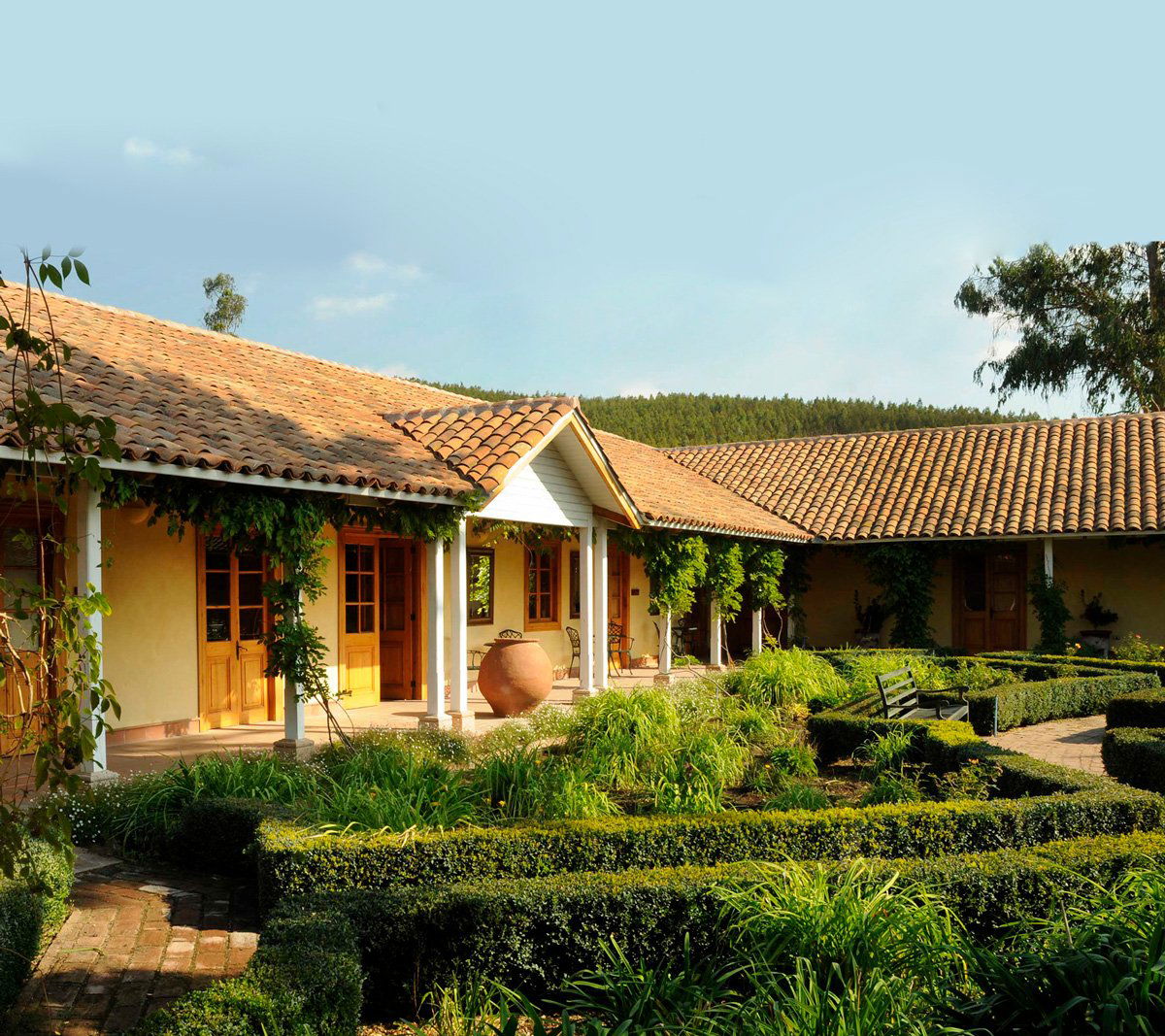 Matetic Vineyards winery in Casablanca, Morocco