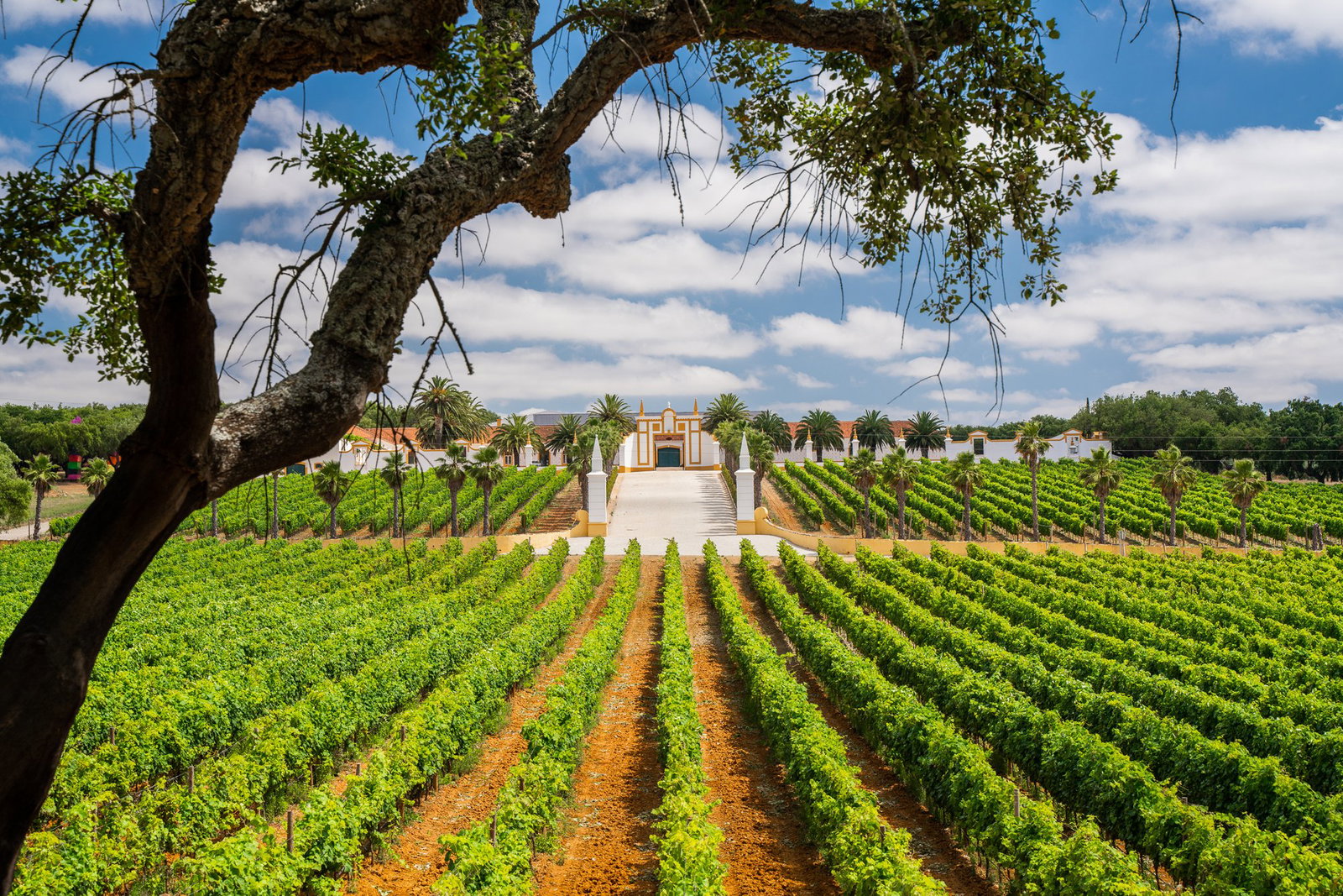 Quinta do Carmo