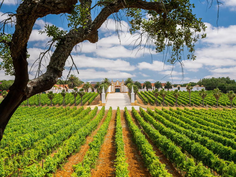 Quinta do Carmo, Estremoz, Portugal