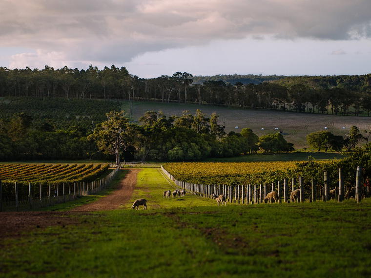 Devil's Lair, Margaret River, Australia