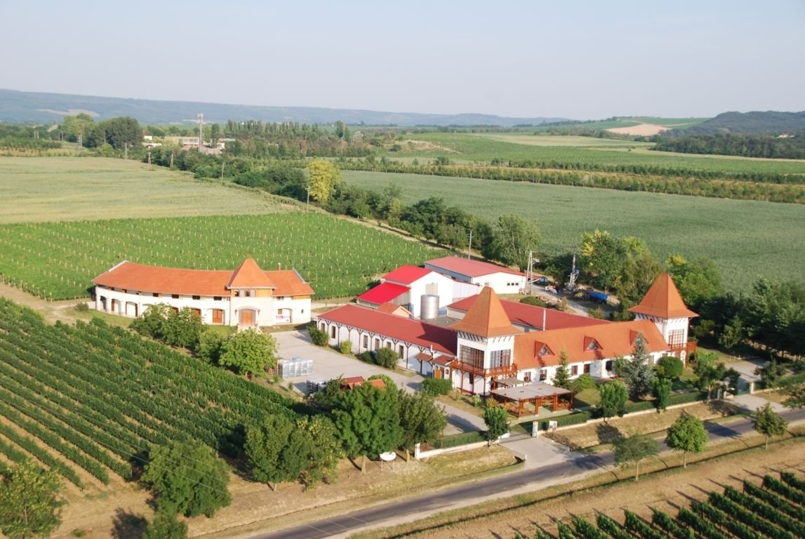 Garamvári Vineyard