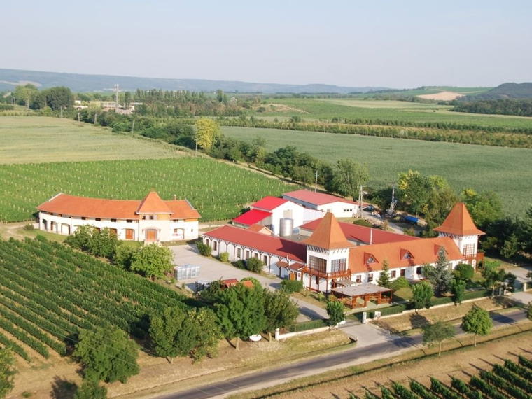 Garamvári Vineyard, Balatonlelle, Hungary