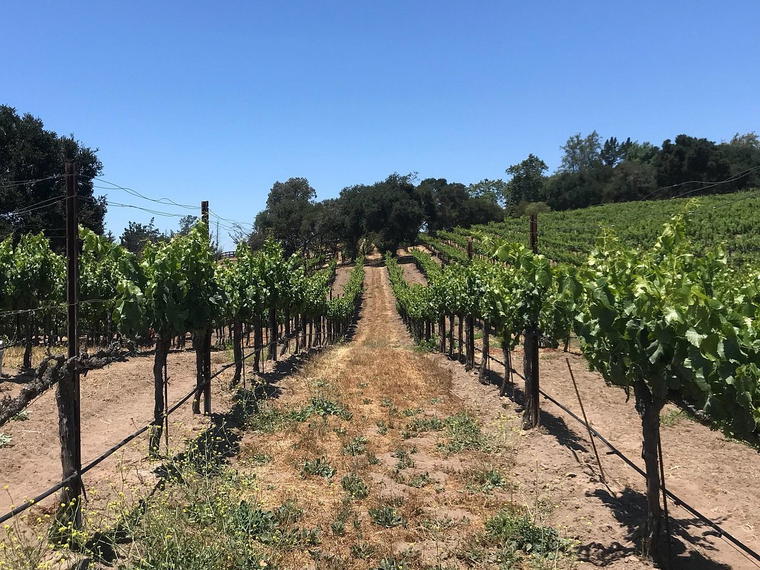 Casa Dumetz Wines, Los Alamos, United States
