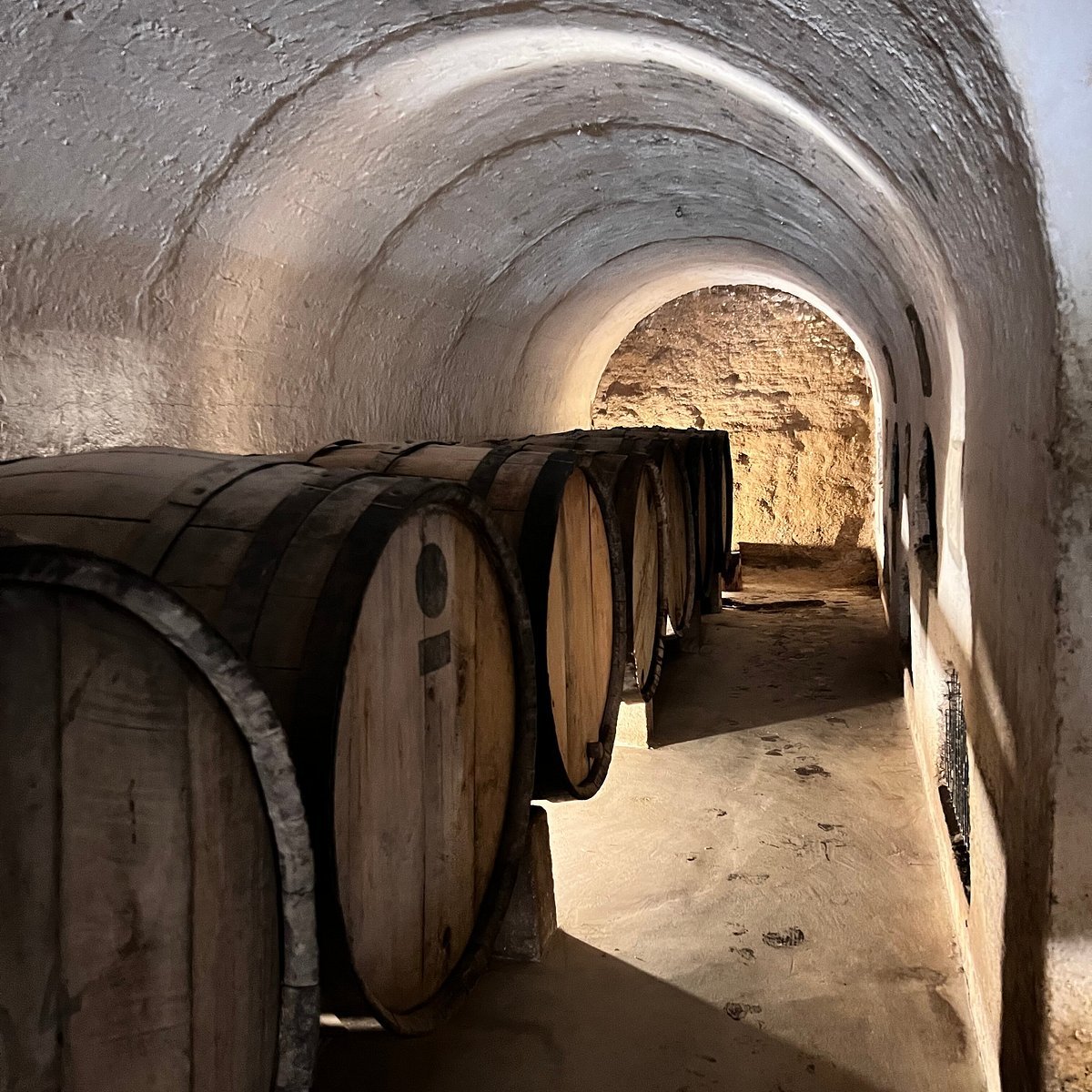 Fundo Los Nichos winery in Pisco Elqui, Chile