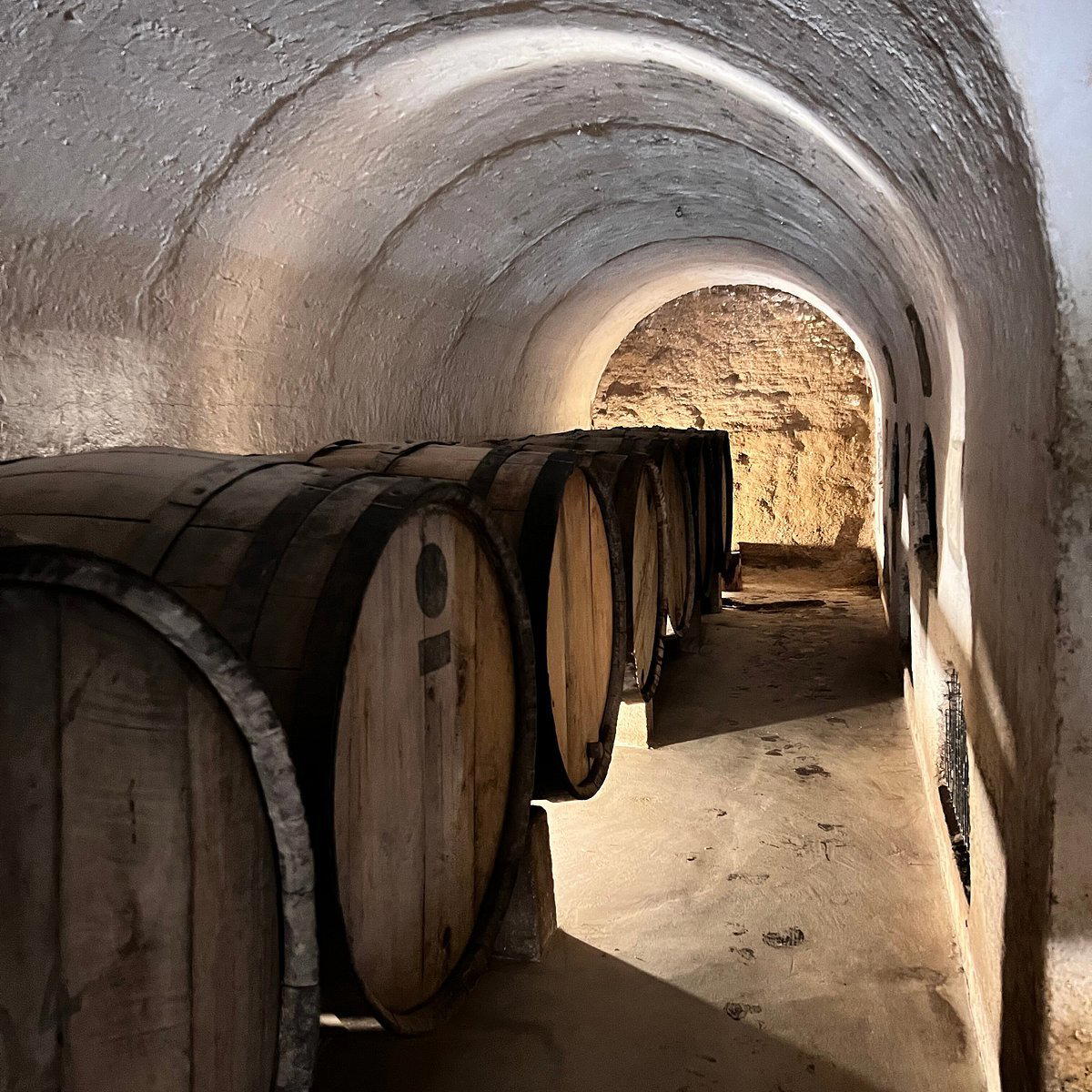 Fundo Los Nichos winery in Pisco Elqui