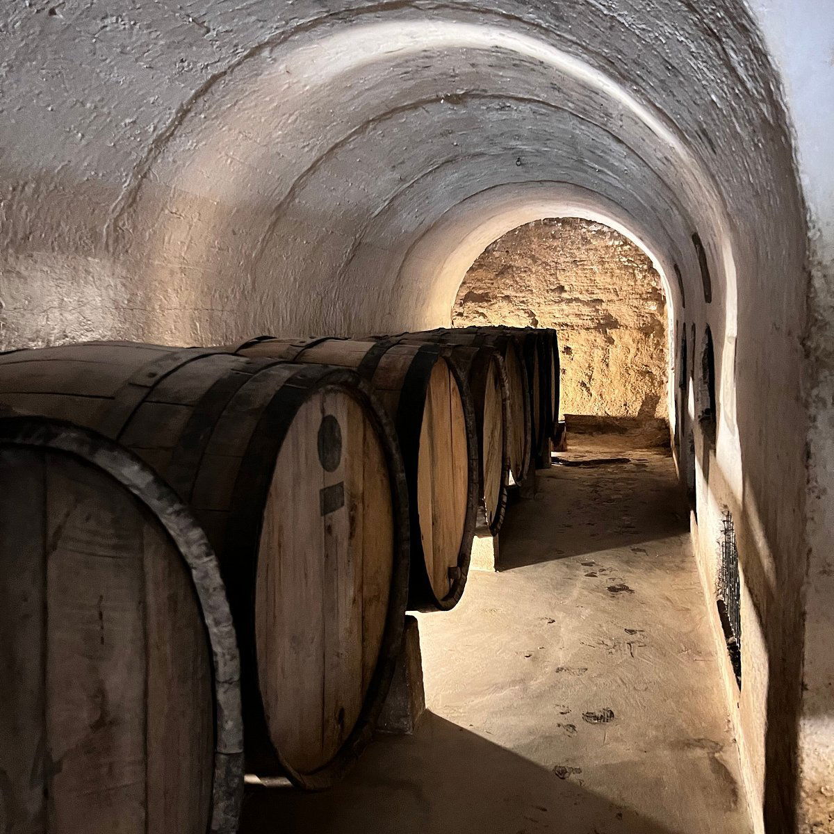 Fundo Los Nichos, Winery in Pisco Elqui